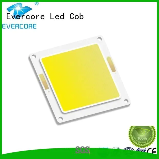 led
 Wholesale modules cob Cold light Evercore Brand cob
 modules