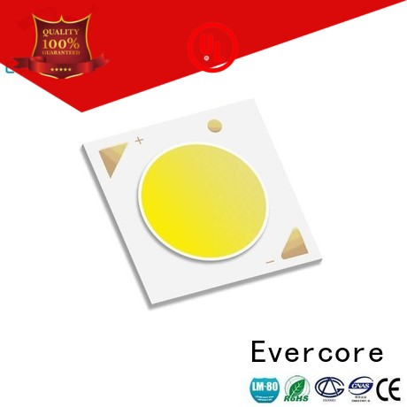 Evercore Brand Certified High lumens Cob Led Module LM-80 factory