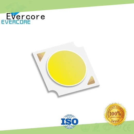 Evercore Low cost Led Cob Chip manufacturer for distribution