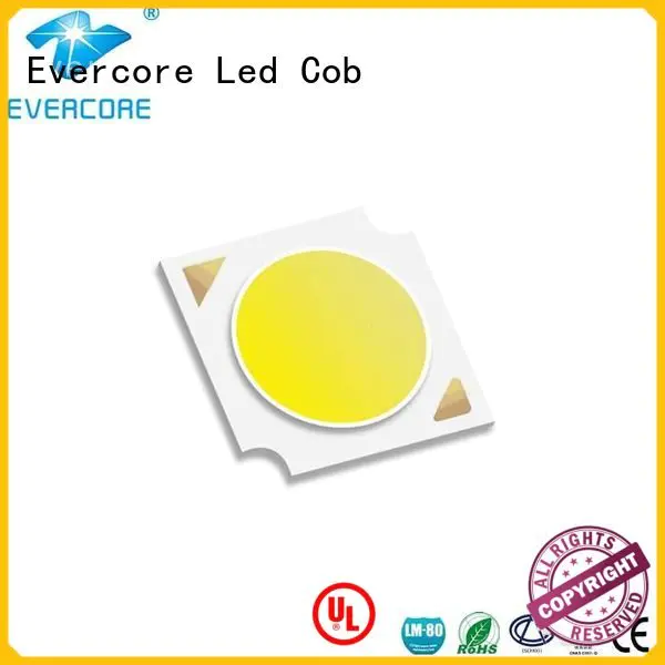 Evercore cob Certified High CRI commercial  lighting cob leds linear