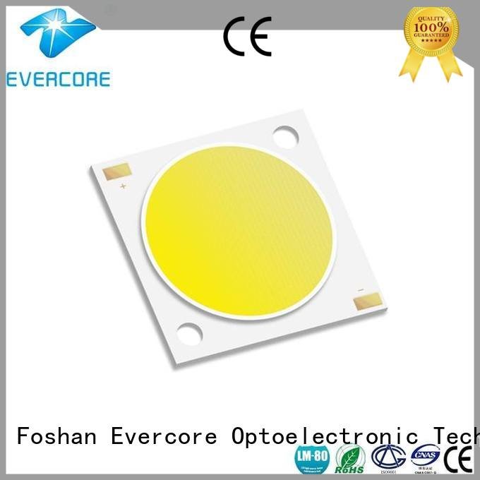 Custom Cob Led Module 10W led Universal Evercore