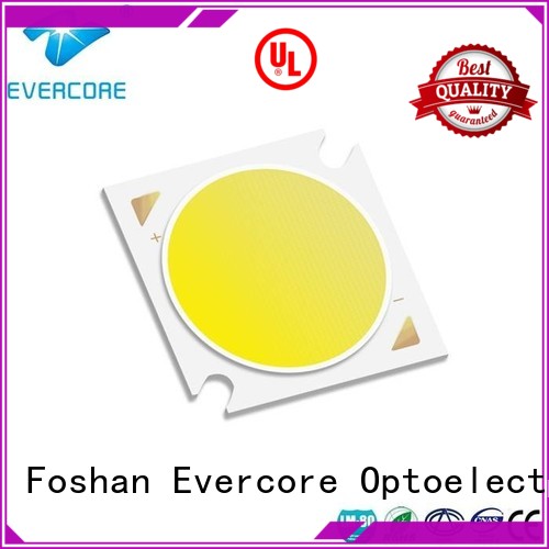 Evercore Low cost Led Cob Chip supplier for sale