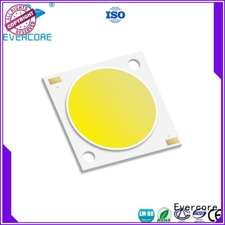 Evercore cheap Led Cob Chip factory for sale