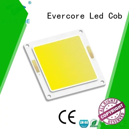 Evercore high lighting efficiency modules led cob