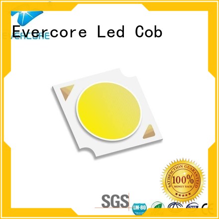 Evercore Low cost Cob Led supplier for distribution