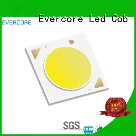 commercial  lighting cob leds Certified linear Cob Led Module Evercore Warranty