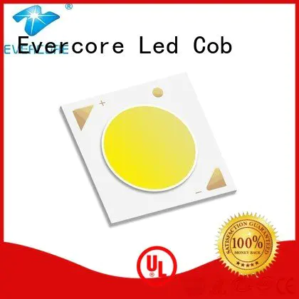 Evercore commercial  lighting cob leds linear 36W Certified