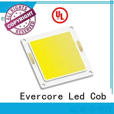 led Cold light Evercore high lighting efficiency