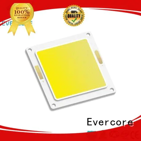high lighting efficiency led modules Evercore Brand