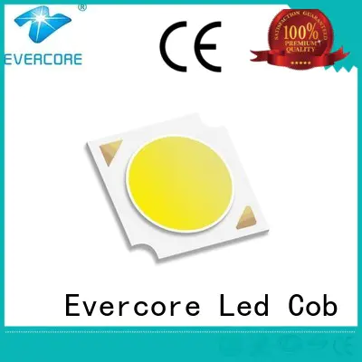 Evercore t14 Led Cob Chip manufacturer for sale