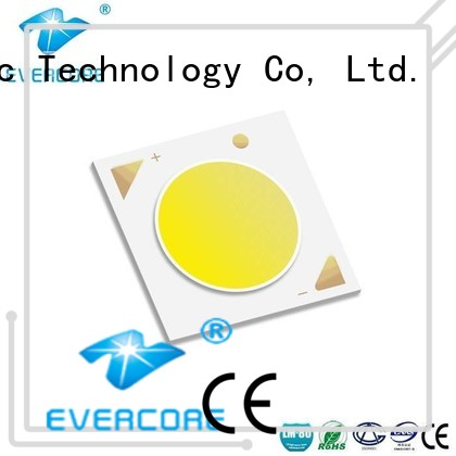 Evercore cheap Led Cob Chip supplier for distribution