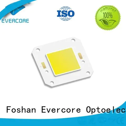 high lighting efficiency led cob Cold light Evercore Warranty