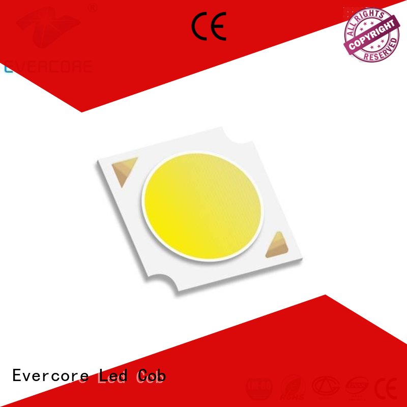 downlight led cob color cob Evercore Brand