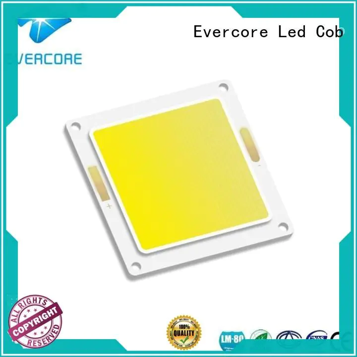 high lighting efficiency modules Cold light Evercore Brand
