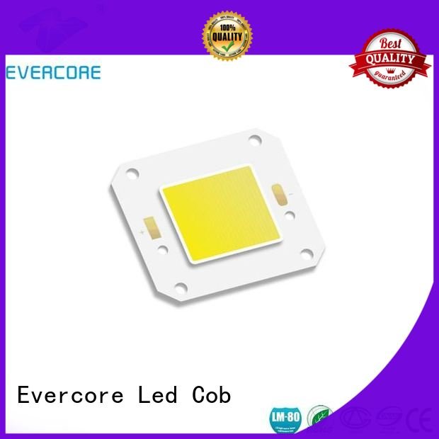 Hot high lighting efficiency led modules cob Evercore Brand