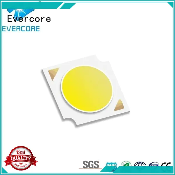 Evercore h23 Led Cob Chip factory for distribution