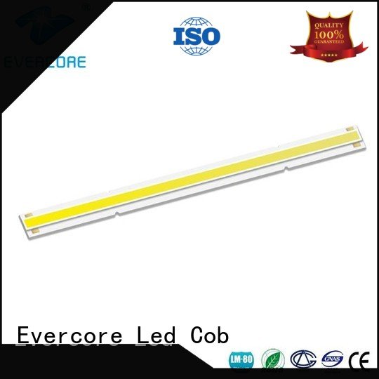 modules
 commercial  lighting cob leds linear Cob Led Module Evercore Brand led
 cob