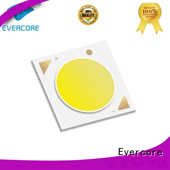LM-80 modules Evercore Cob Led Module