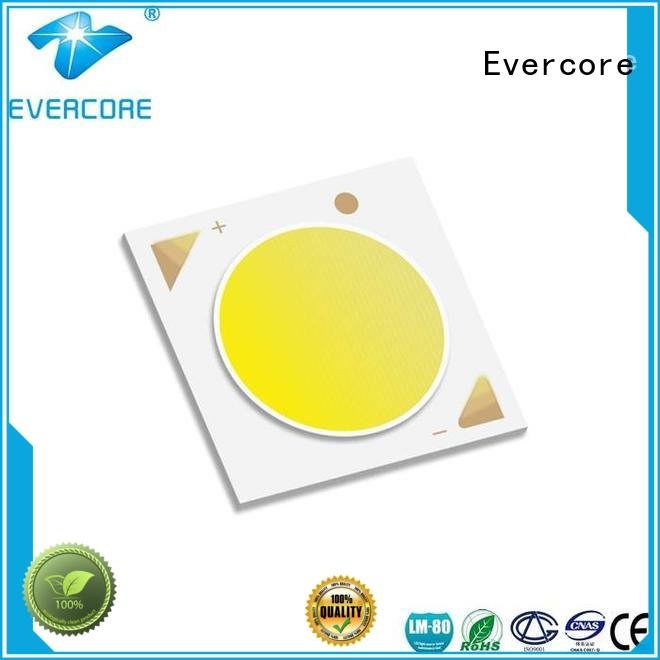 Evercore Brand High CRI linear color Cob Led Module modules