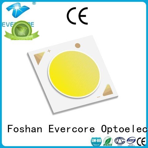 Evercore Brand High CRI cob modules commercial  lighting cob leds