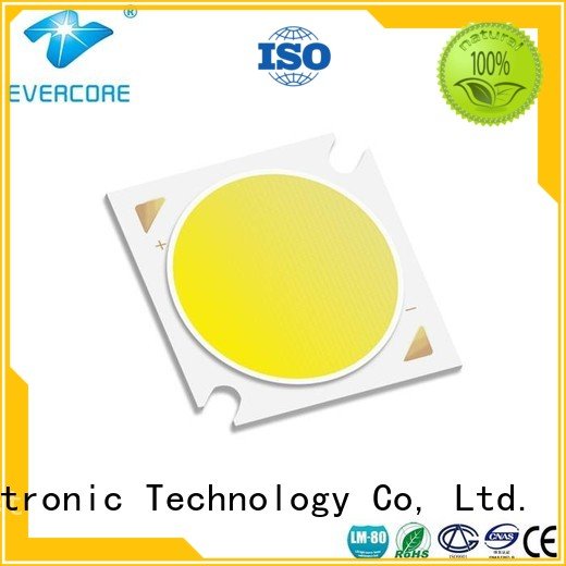 Evercore Brand Universal led linear Cob Led Module