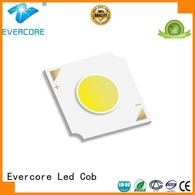 Evercore Brand High lumens 36W color commercial  lighting cob leds