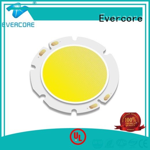High lumens cob modules 36W Evercore Cob Led Module