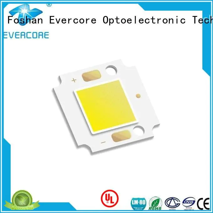 Evercore high lighting efficiency led modules cob cob