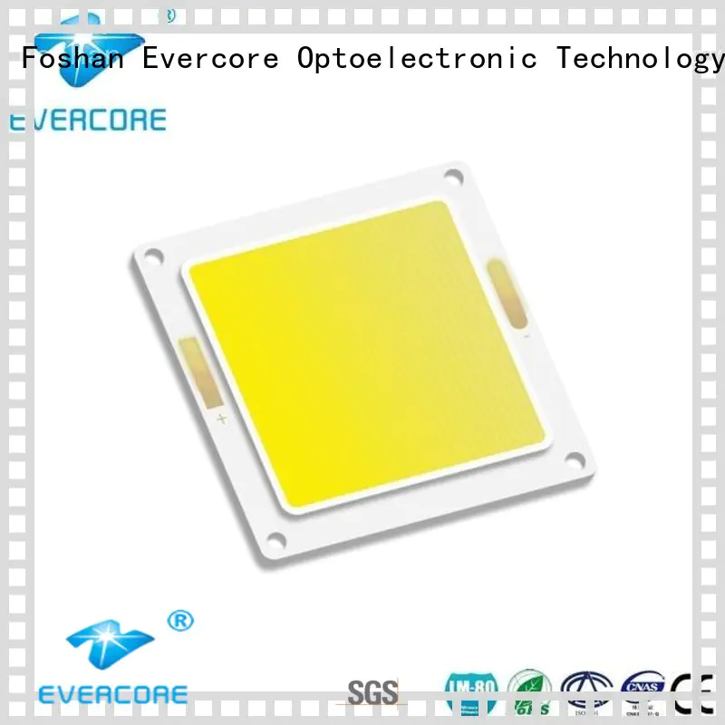 Evercore cob spot led cob exporter for lighting