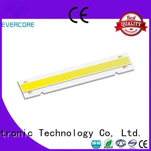 Evercore linear Cob Led Module led color