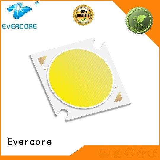 Evercore High lumens 36W Certified commercial  lighting cob leds 10W