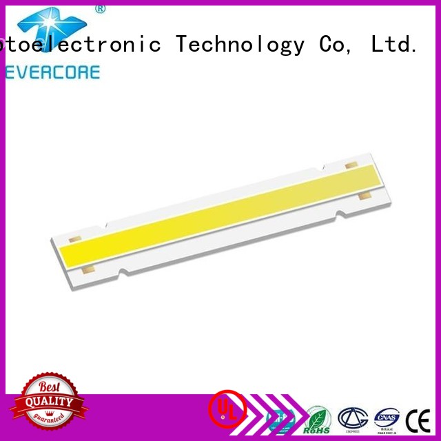 Evercore cheap Led Cob Chip manufacturer for distribution