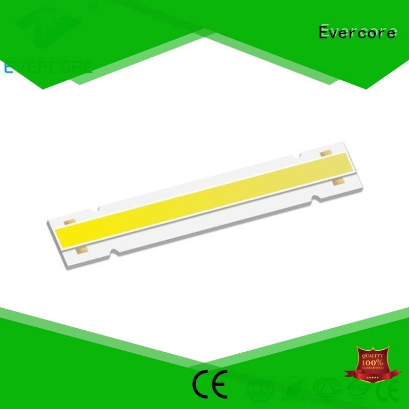 Evercore Brand 10W modules High lumens Cob Led Module