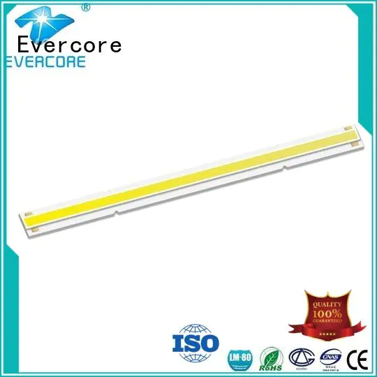 Evercore Brand led commercial  lighting cob leds High lumens LM-80