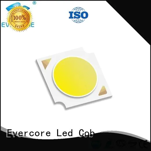 cob
 Quality Evercore Brand commercial  lighting cob leds modules
 led