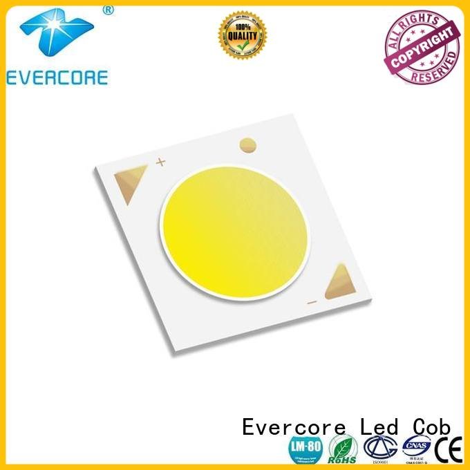 Certified 36W Evercore Brand commercial  lighting cob leds