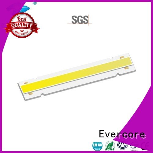 commercial  lighting cob leds modules Evercore Brand Cob Led Module