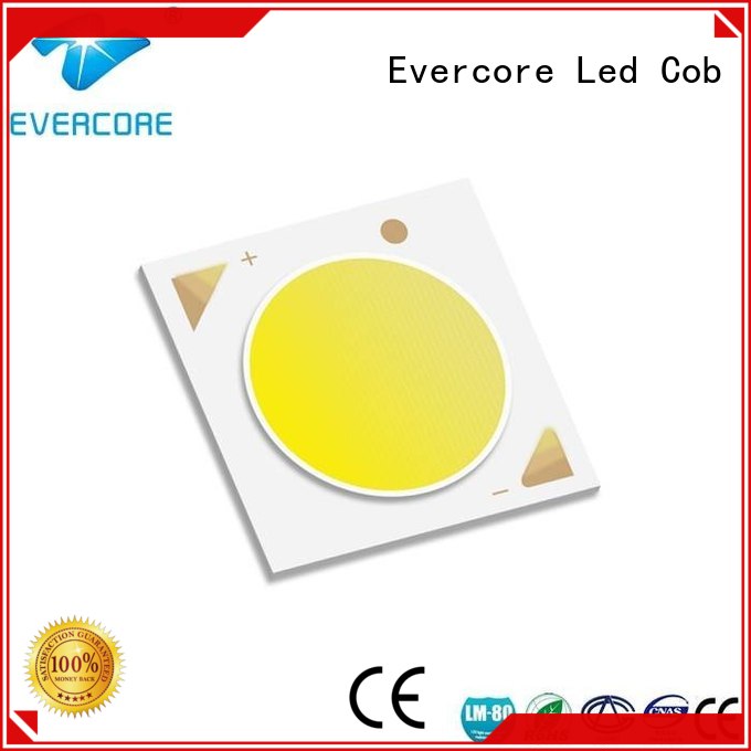 downlight led cob modules lighting Evercore Brand company