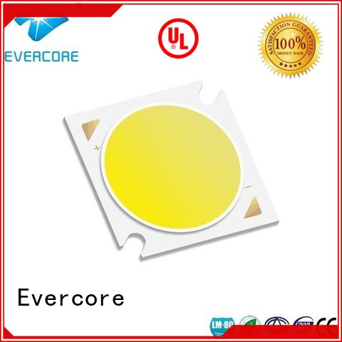 Evercore green rgb cob led supplier for sale