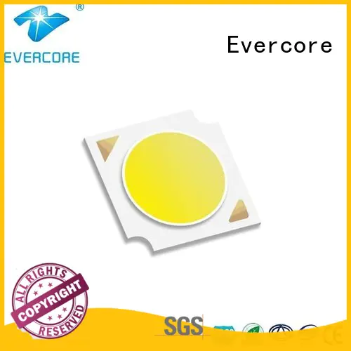 linear Led Cob Chip h28 for distribution Evercore