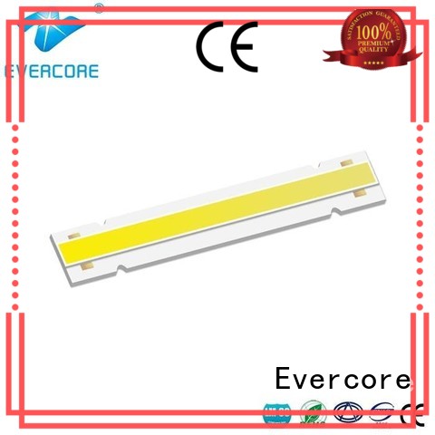 Evercore cheap Cob Led manufacturer for distribution