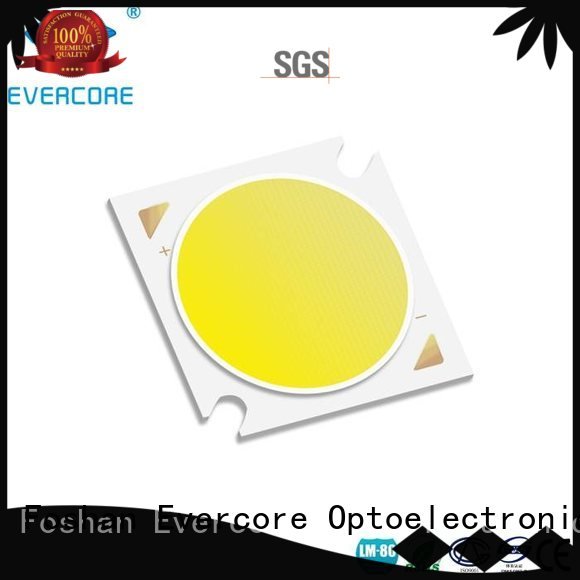 Evercore Brand cob led Cob Led Module Certified 10W