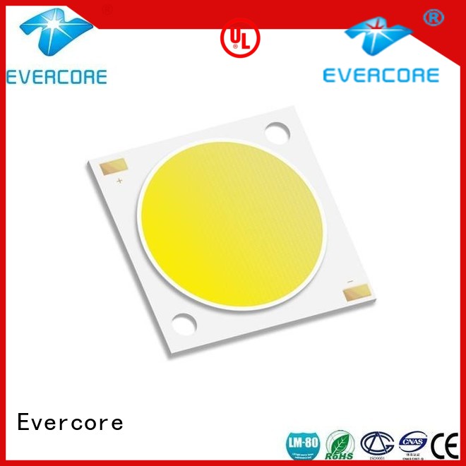 green rgb cob led h19 factory for distribution