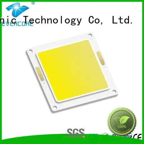 high lighting efficiency led modules Cold light Evercore Warranty
