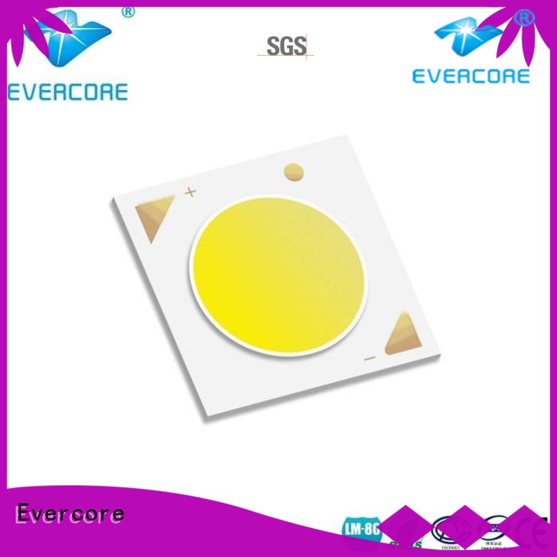 color downlight led cob cob led Evercore Brand
