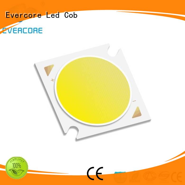 color 36W linear Evercore Brand Cob Led Module supplier