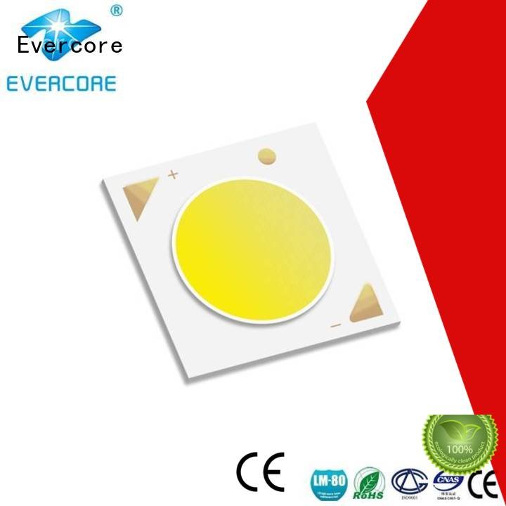 Evercore Cob Led Module led Universal High lumens LM-80