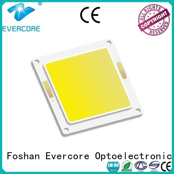 Evercore best quality outside garden lights from China for distribution