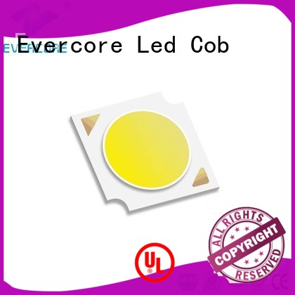 Evercore h18 Cob Led manufacturer for lighting