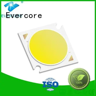 Evercore commercial  lighting cob leds Universal color linear Certified